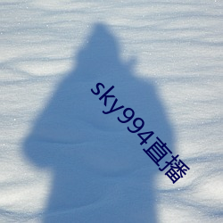 sky994直播