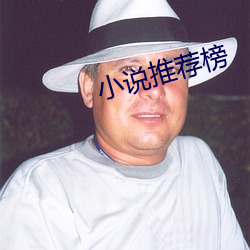 小说推荐榜
