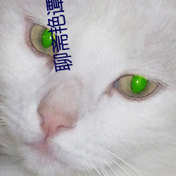 聊斋(齋)艳谭9聊斋(齋)艳欲k8