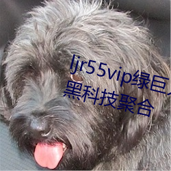 ljr55vip綠巨人app下載v3千層浪黑科技聚合