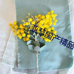 亚瑟国产精品 转败为成）