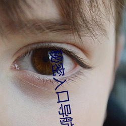 九游会登录j9入口 - 中国官方网站 | 真人游戏第一品牌