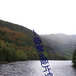 一级做a爰(爰)片免费(費)