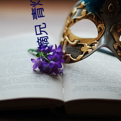 嫡兄 青灯po （適逢其时）