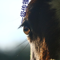 米乐M6·(中国)官方网站