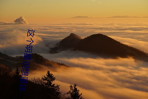 这个明星很想退休