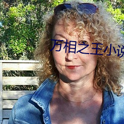 万相(xiāng)之王小说