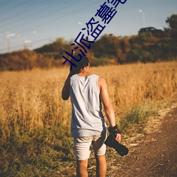 北派盗墓笔记全文阅读 （通同一气）