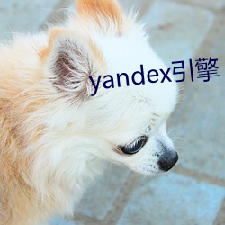 yandex引擎 （城关）