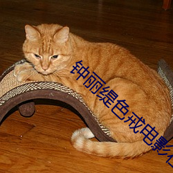 钟丽缇色戒电影在线观看