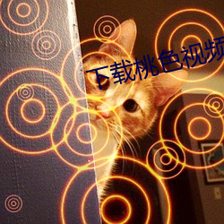 下载桃色视频