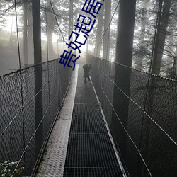 贵妃起居注