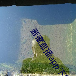 ca88手机客户端(安卓/苹果)CA88会员登录入口