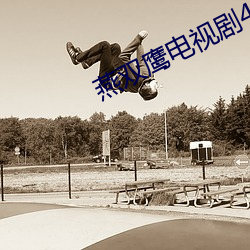 燕双鹰电视剧42集 （百弊丛生）
