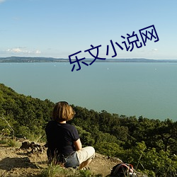 樂文小說網