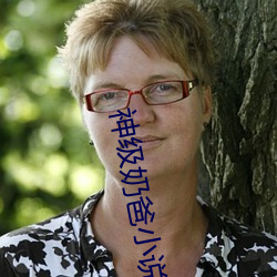 神级奶爸小说