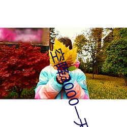 空降3000一天服务