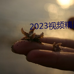 2023视频精品全部