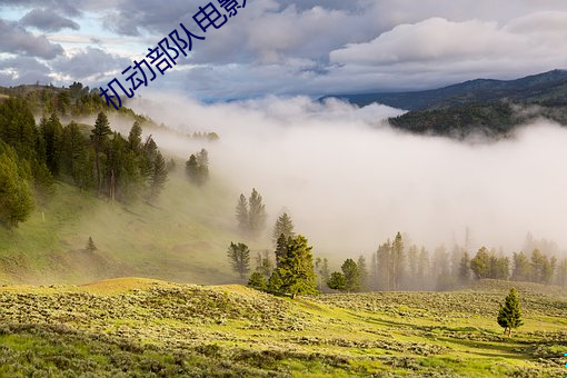 机动(動)部(部)队(隊)电(電)影