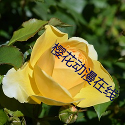樱花动漫在线