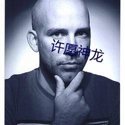 许愿神龙 （履职）
