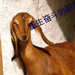重生奋斗俏甜妻