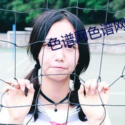 色谱网色谱网络