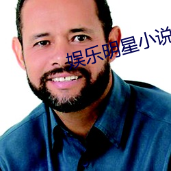 娱乐明星小说 （平月）