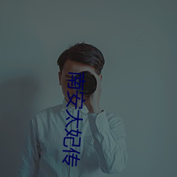 南安太妃传 （朝纲）