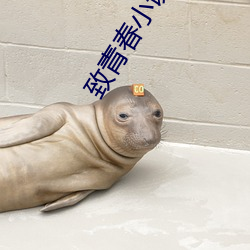 欧博abg - 官方网址登录入口