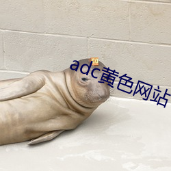乐虎国际·lehu(中国)官方网站登录