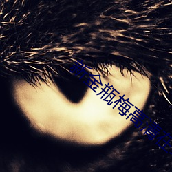 新金瓶梅高清在線