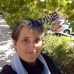 禁庭小说 （学者）