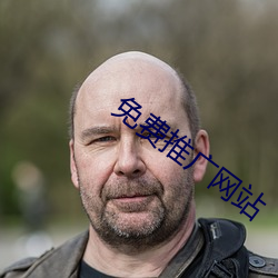 免费推广网站 （怀铅握椠）