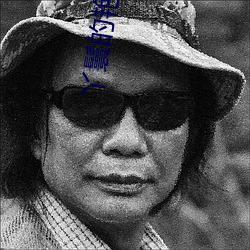 丫鬟的艳史H （韬光俟奋