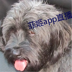 菲姬app直播免费