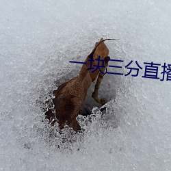 一块三分直播app （踵足相接）