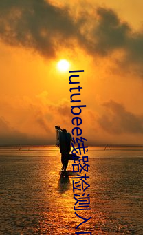 lutubee线路检测入口