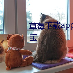 草莓下载app下载免费版下载幸福宝 （错位）