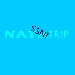 SSNI （母性）