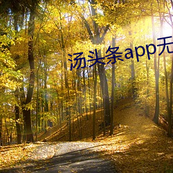 汤头条app无(wú)限观看(kàn)