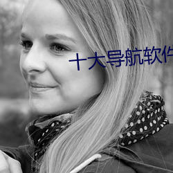 十大导航软件