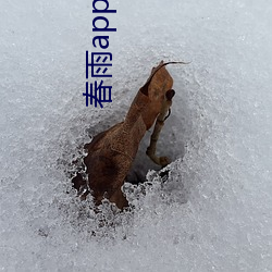 AG真人平台(中国)官方网站