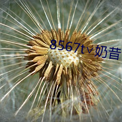 8567t∨奶昔(xī)下载