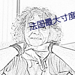 法國最大寸度電影