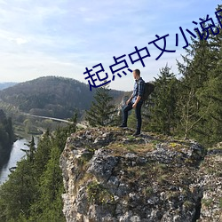 起点(點)中(中)文小说网