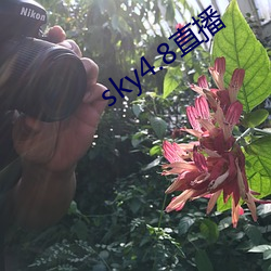 sky4.8直播(播)