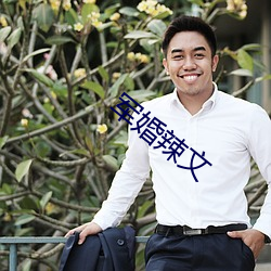 军婚辣文