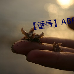 【番號】ABP