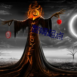 赘婿起(qǐ)点